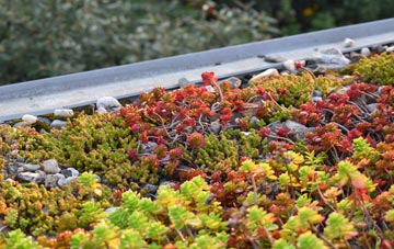 the cost of Kirby Le Soken green roof installation