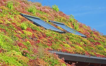 Kirby Le Soken living roof systems